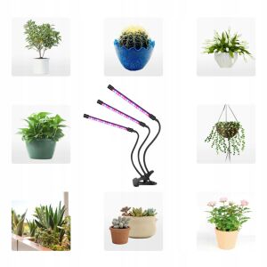 Kollázs a Renew Force 3-fejű LED növénynevelő lámpáról különböző növényekkel - Növénytermesztési kellék