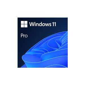 SW OEM GGK WIN 11 PRO 64B/ENG 1PK 4YR-00316 MS 143718050 - Operációs rendszer