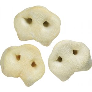 Flamingo Snacks malac orr 80 db   80 db 147226945 - Állattartás