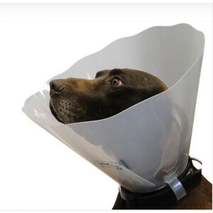 Műtéti gallér Greencol 25 cm   1 db 145019240 - Állategészségügy