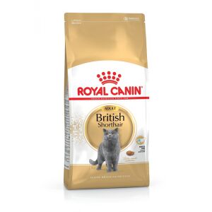 Royal Canin British Shorthair Adult - Brit rövidszőrű felnőtt macska száraz táp  4 kg 147160872 - Állattartás