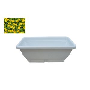 Virágláda Tálcával Magyar 40cm Fehér 143804322 - Virágláda