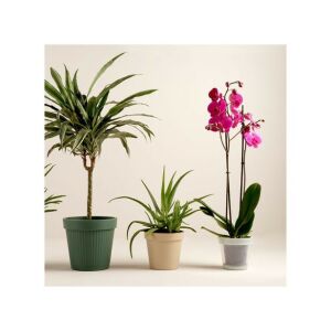 Vessző Florentin Fehér 90-22-57 - D18/24*H18/54cm 143805471 - Kert