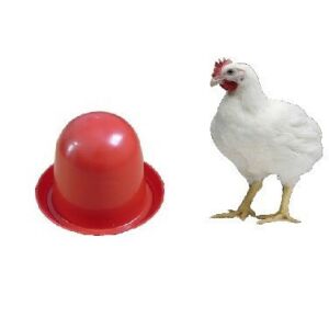 Csirke Önitató 4 Literes Magyar 143805484 - Haszonállat tartás