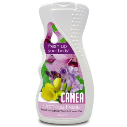 Folyékony Szappan Safeguard 500ml 143806021