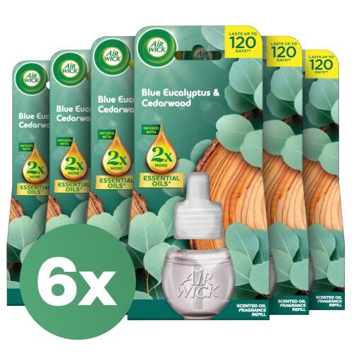 Air Wick Eucalyptus and Cedar Wood Refill for Electric Air Freshener 6x19ml