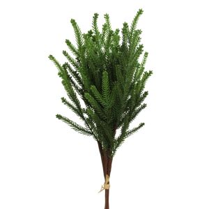 Fenyőág-csokor 4db 50cm 143941693 - Lakberendezés