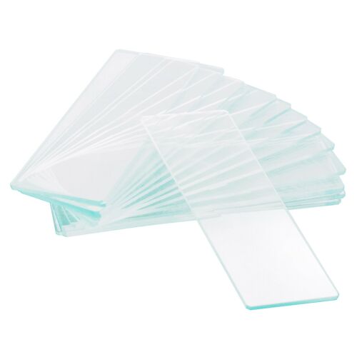 Levenhuk G50 1H egy üreges üres tárgylemez (50 darab)