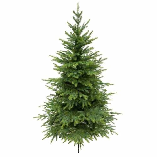 Pepita 1m 3D Caucasian Fir Artificial Christmas Tree isolated on white