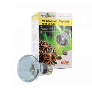 Repti Zoo Day light Spot Neodimyum | melegítő izzó - 60 W 144086718 - Hal- & Hüllőtartás