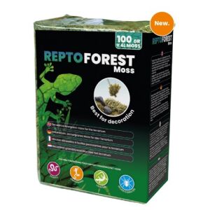 REPTO | FOREST MOSS | Erdei moha dekoráció - 100 g 144089705 - Hal- & Hüllőtartás