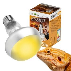 Repti Zoo Intense Basking Spot | Melegítő izzó - 50W 144091234 - Hal- & Hüllőtartás