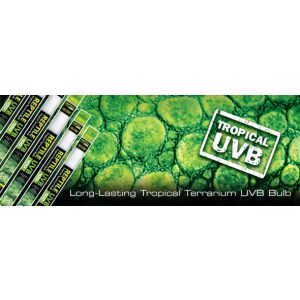 Exo Terra Reptil UVB100 Fénycső - T8 5% (5.0) | 450 mm - 15 W 144091821 - Hal- & Hüllőtartás