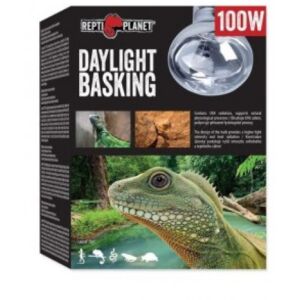 Repti Planet Daylight Basking Spot | Nappali sütkérező izzó - 100 W 144091835 - Hal- & Hüllőtartás