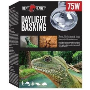 Repti Planet Daylight Basking Spot | Nappali sütkérező izzó - 75 W 144091837 - Hal- & Hüllőtartás