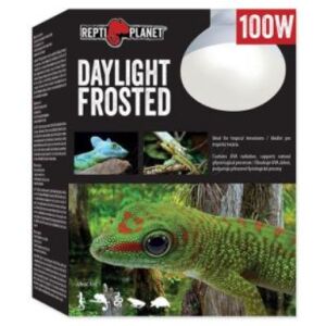 Repti Planet Daylight Frosted | Nappali izzó - 100 W 144091849 - Hal- & Hüllőtartás