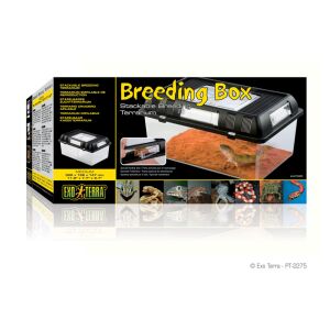Exo Terra Breeding Box | Tenyésztő doboz - Medium 144091998 - Hal- & Hüllőtartás