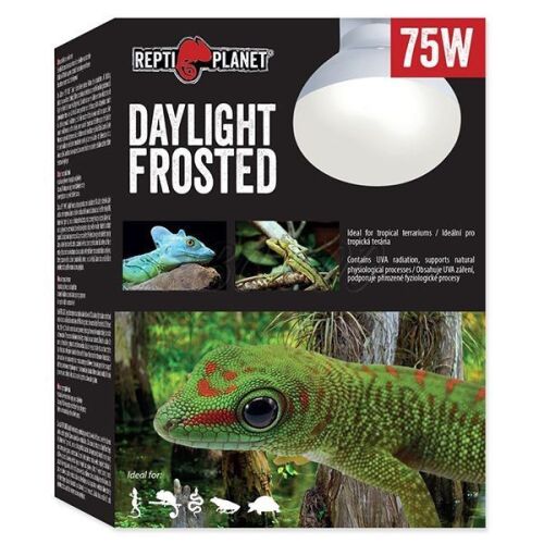 Repti Planet Daylight Frosted | Nappali izzó - 75 W 144092039