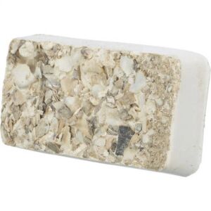 Trixie Pecking stone with seashells | Kiegészítő eleség (csőrkoptató tömb) papagáj részére - 30g 144103218 - Csőr- & Karomkoptató