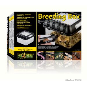 Exo Terra Breeding Box | Tenyésztő doboz - Small 144103918 - Hal- & Hüllőtartás