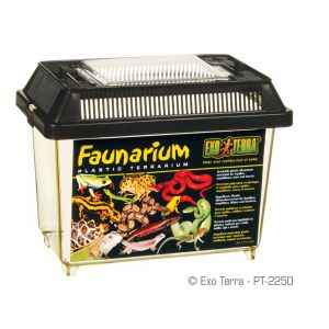 Exo Terra Faunarium | XS 144103922 - Hal- & Hüllőtartás