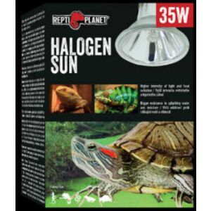 Repti Planet Halogen Sun | Halogén izzó - 35 W 144104538 - Hal- & Hüllőtartás