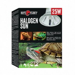 Repti Planet Halogen Sun | Halogén izzó - 25 W 144104551 - Hal- & Hüllőtartás