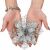 Springos silver poinsettia Christmas decoration in hands