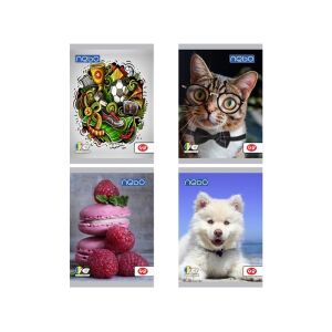 A5-ös jegyzetfüzet 48 lap, pergamenlapok, különböző modellek