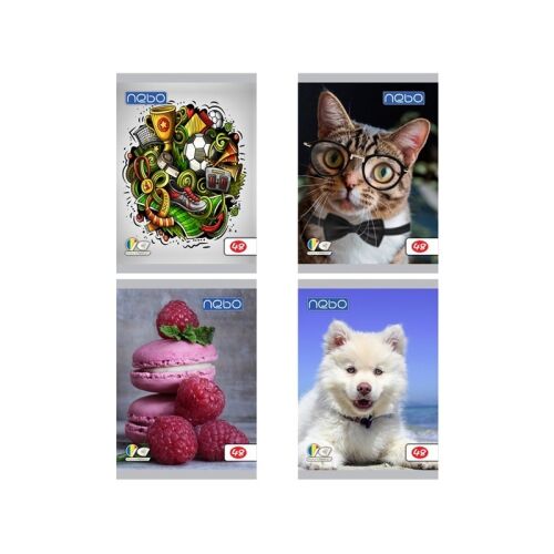 A5-ös jegyzetfüzet 48 lap, pergamenlapok, különböző modellek