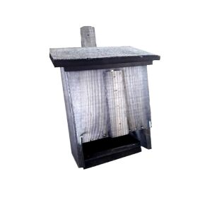 Denevér ház 144203658 - Denevér ház