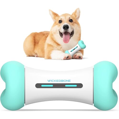 Intelligentes interaktives Hundespielzeug, Grün 144402248