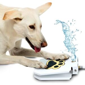 Fântână de apă pentru câini cu design cu pedală 144402410 - Castroane si adapatori animale