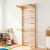 Pepita Rib Wall 215cm - with gymnastic ring, ladder and pull-up bar 144459278