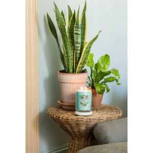 Yankee Candle Signature Aloe & Agave Nagy Gyertya 567g 144729221 - Légfrissítő