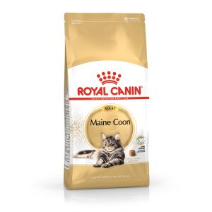 ROYAL CANIN FBN Maine Coon Adult - sucha karma dla dorosłego kota - 10kg 144757168 - Karma dla kotów