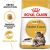 ROYAL CANIN FBN Maine Coon Adult - Trockenfutter für eine erwachsene Katze - 10 kg 144757168