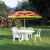 Parasol plażowy- paski 144816078