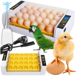 Inkubator klujnik wylęgarnia automatyczna cyfrowy owoskop obracanie jaj 24