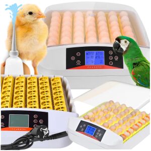 Inkubator do jaj automatyczny klujnik wylęgarnia hodowla drobiu owoskop 56 144879060 - Haszonállat tartás