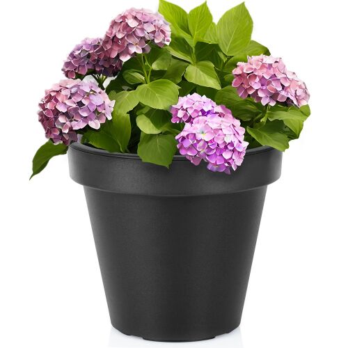 Fekete műanyag kerti cserép hortenzia virágokkal, 29 cm - Virágcserép