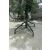 Fehér havas mű karácsonyfa 240cm 144897479