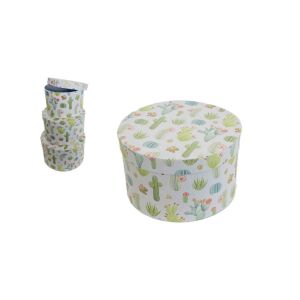 Ajándék-Virág Papírdoboz Kaktusz Szett/3 Bn 100-2142 - D20*H12cm