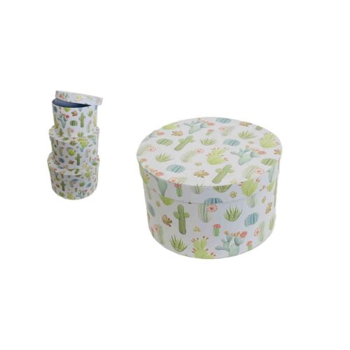 Ajándék-Virág Papírdoboz Kaktusz Szett/3 Bn 100-2142 - D20*H12cm