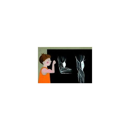 Testünk felépítése Diafilm - Oktató diafilm gyerekeknek az emberi test felépítéséről - Diafilm
