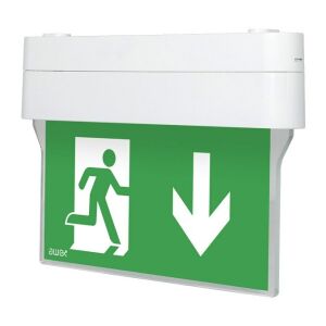 LED biztonsági lámpatest, ARROW N kétcélú 1W 6000K 3h + PU31,PU41, fehér, IP40