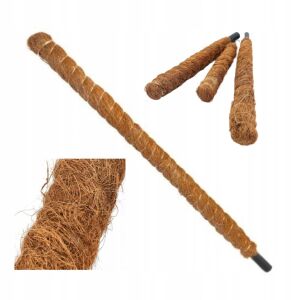 Kókuszpálca Eco növénytámasz 50 cm 145107156 - Növénytámasz & Karó