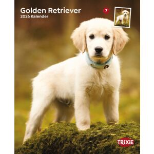 Trixie | Falinaptár Golden retriever – 2026 145134955 - Naptár