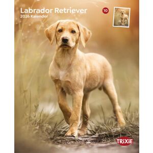 Trixie | Falinaptár Labrador retriever – 2026 145135573 - Irodai kiegészítő