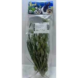 Trópus Fénymag Szálas | Természetes eledel – 14 g 145136659 - Állattartás
